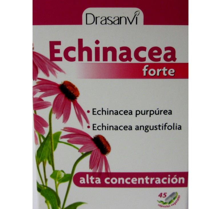 Echinacea Drasanvi 